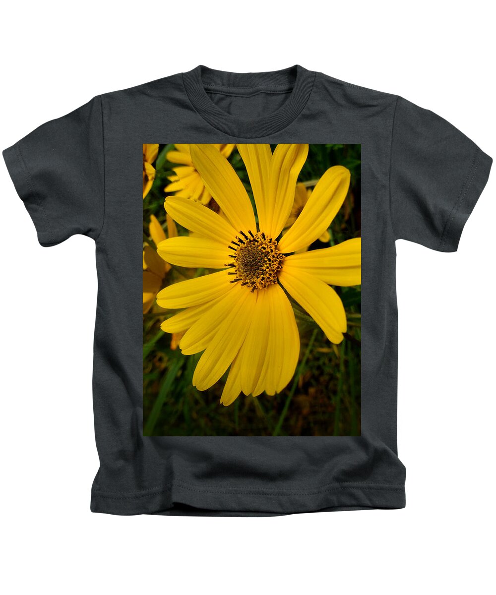 Fine Art Prints Kids T-Shirt featuring the photograph Wild Yellow #1 by Dave Bosse