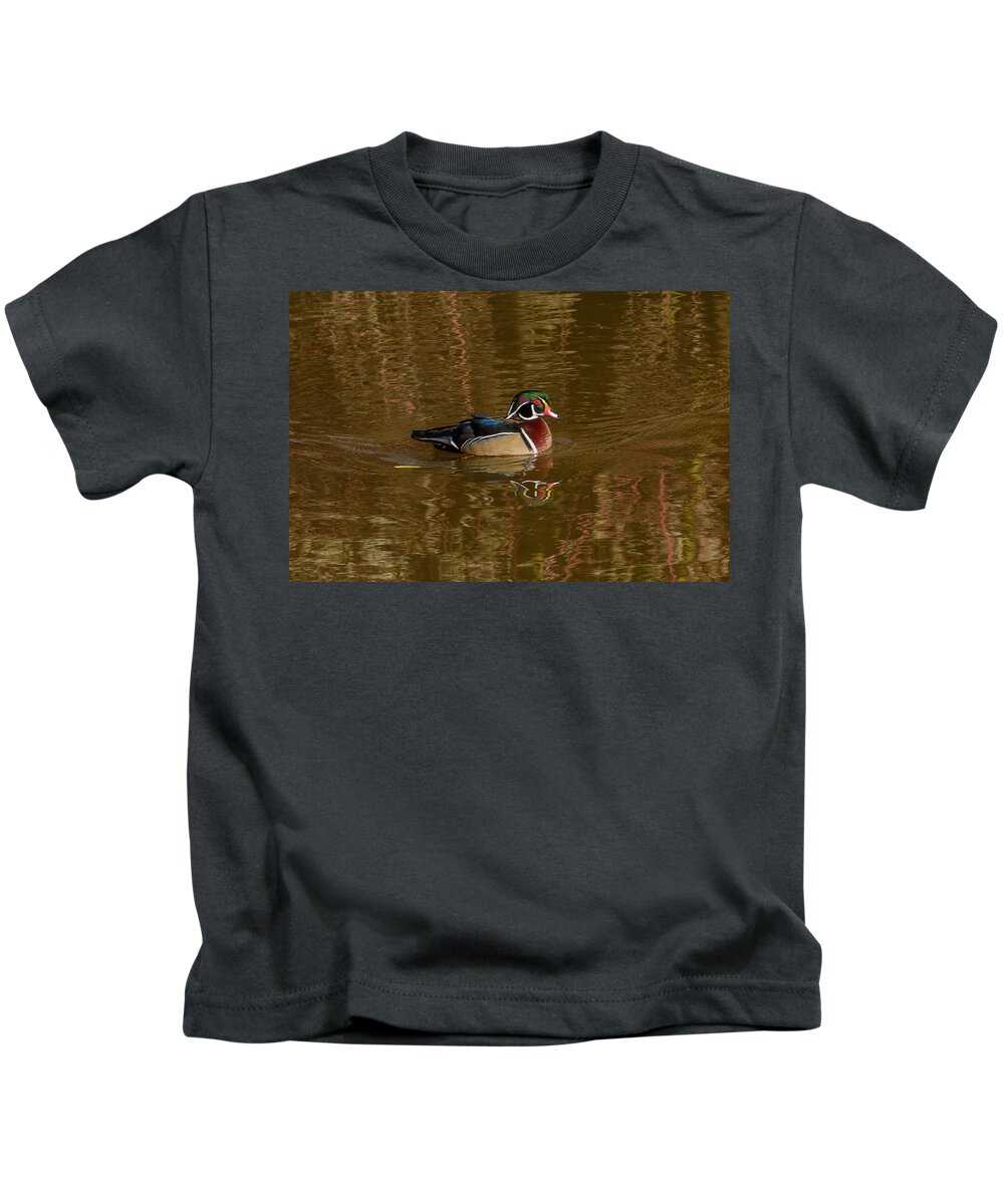 Wood Duck Kids T-Shirt featuring the photograph Wood Duck #1 by Jerry Cahill
