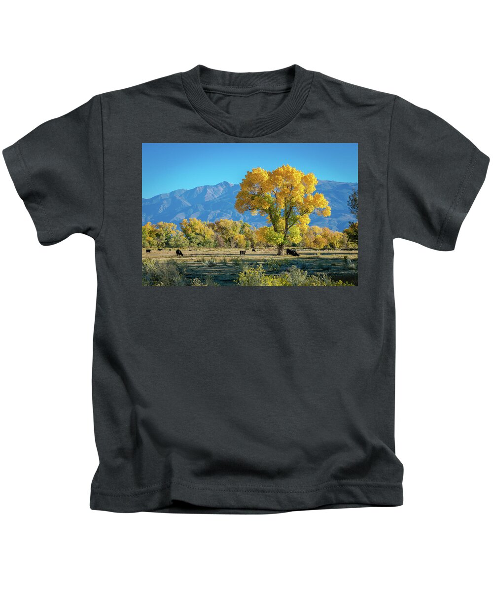 Landscape Kids T-Shirt featuring the photograph Yellow Tree, Bishop CA. #2 by Javier Flores