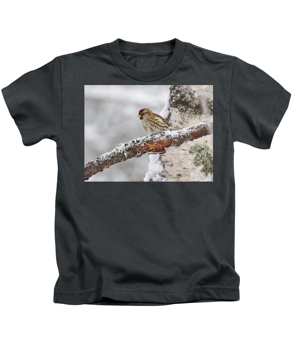 Acanthis Flammea Kids T-Shirt featuring the photograph Common redpoll #11 by Jouko Lehto