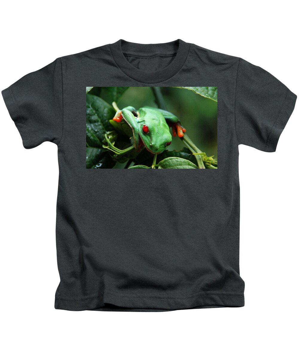 Frog Kids T-Shirt featuring the photograph Frog #11 by Mariel Mcmeeking