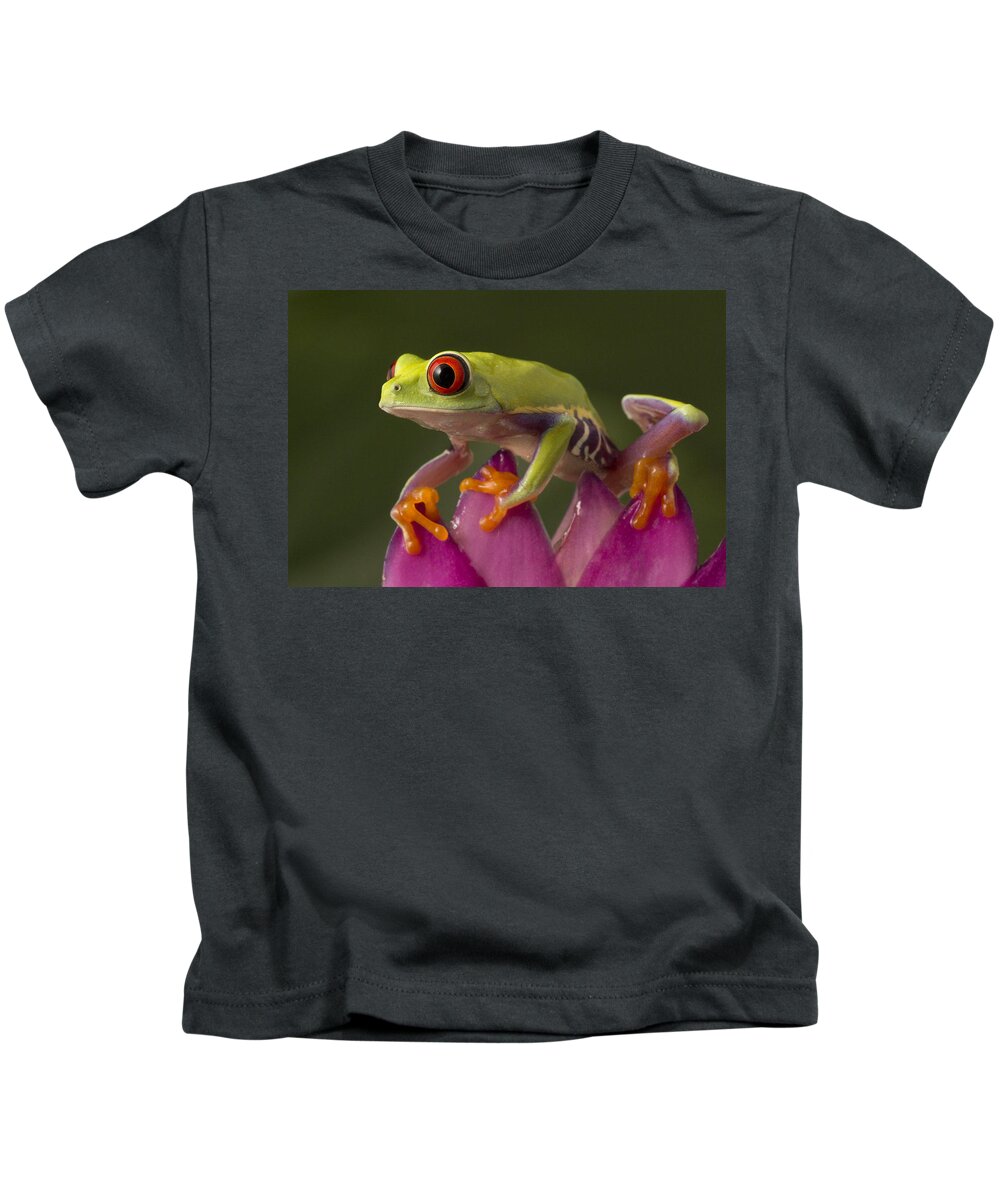 Frog Kids T-Shirt featuring the photograph Frog #14 by Jackie Russo