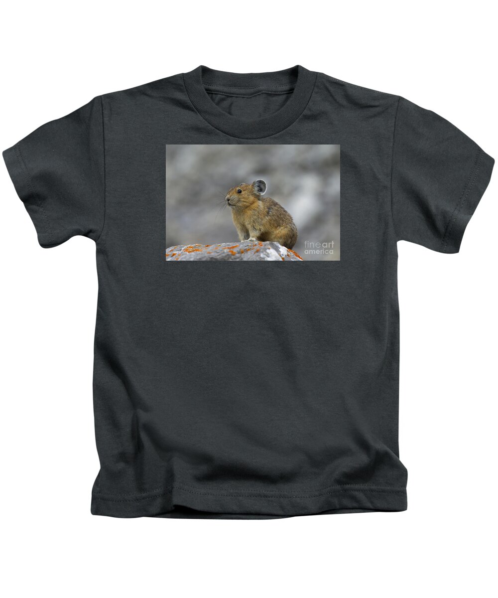 American Pika Kids T-Shirt featuring the photograph 151221p238 by Arterra Picture Library