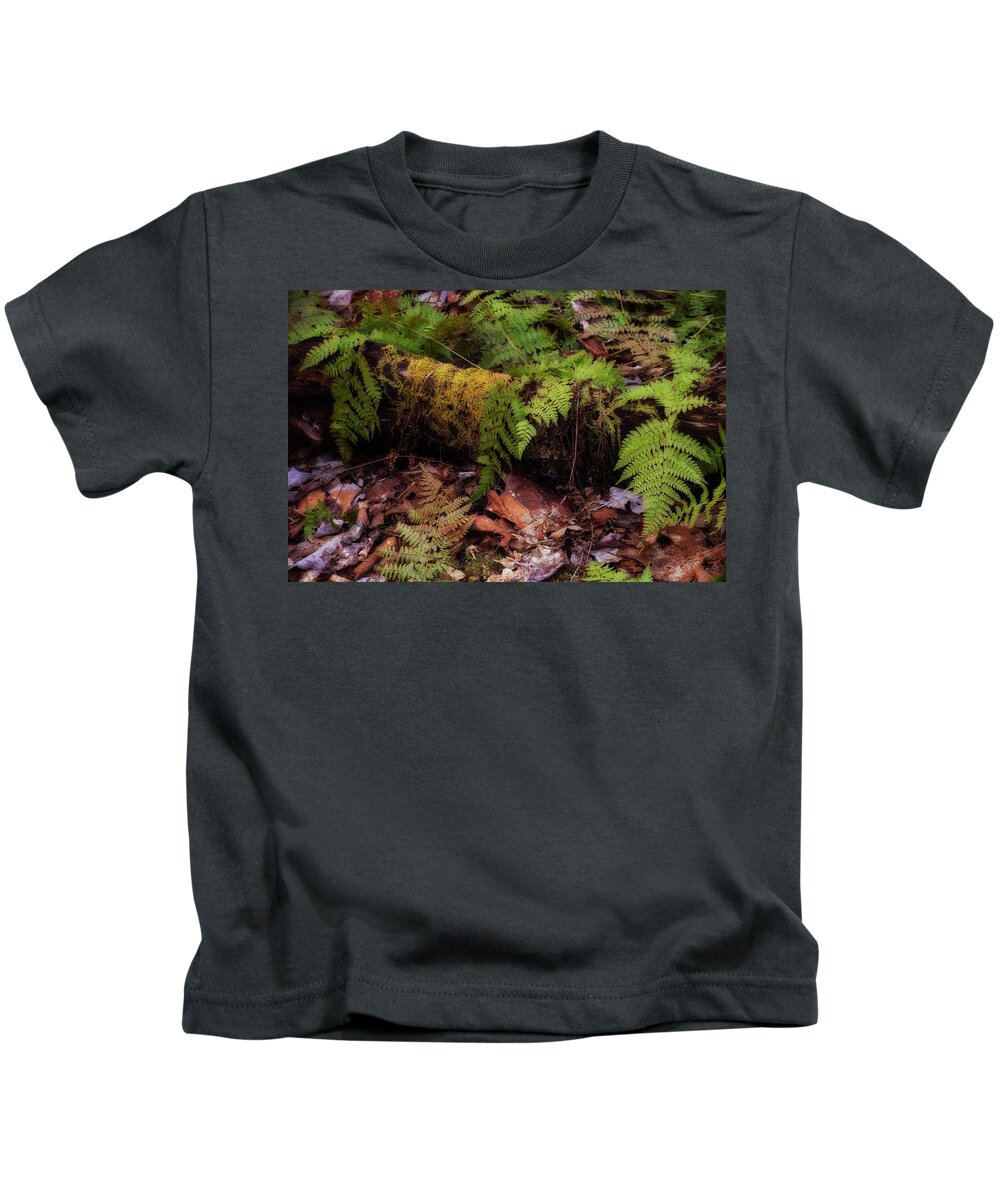 Blue Mountain- Birch Cove Lakes Wilderness Kids T-Shirt featuring the photograph Broken Down #2 by Irwin Barrett