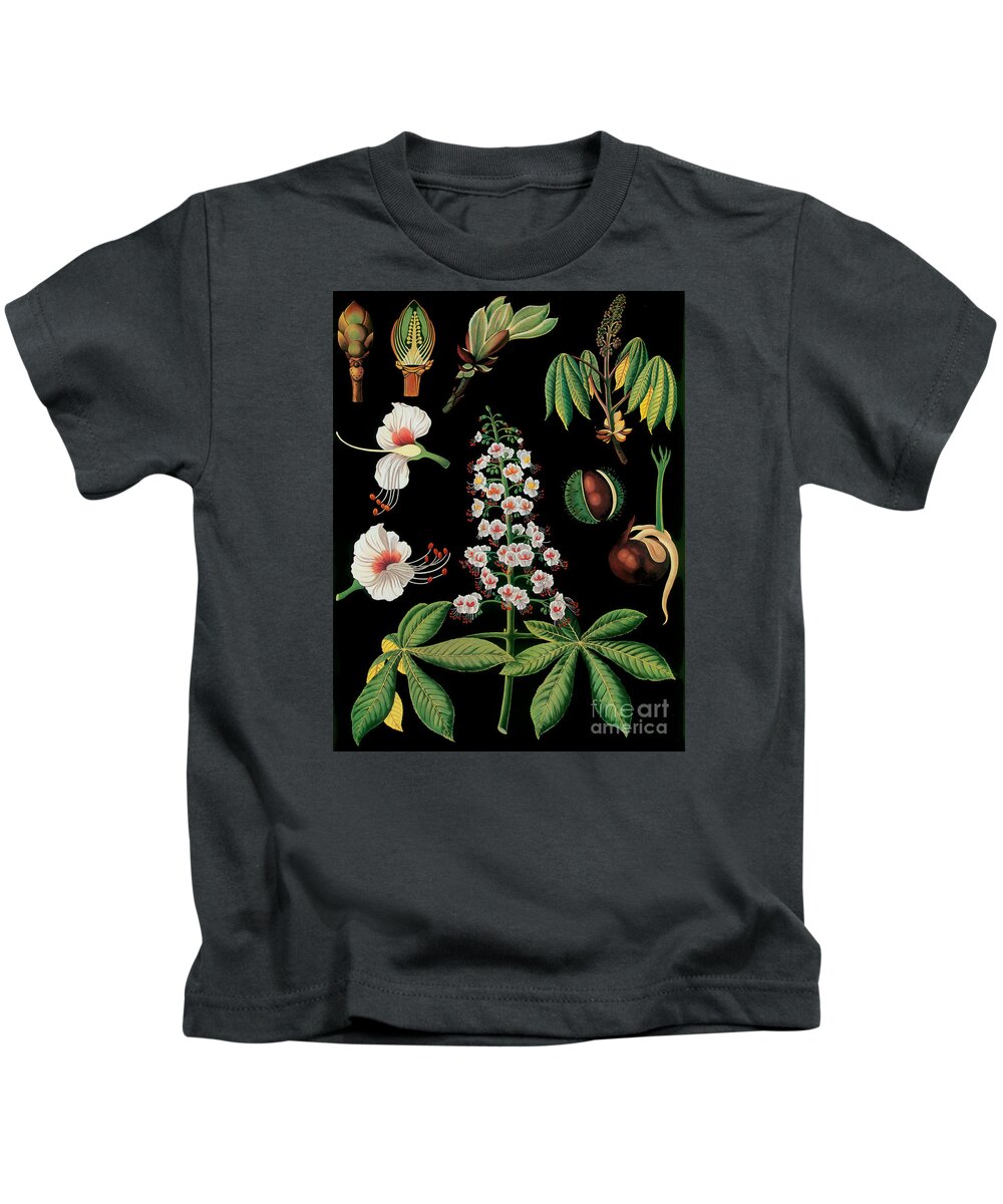 Vintage Botanical Art Kids T-Shirt featuring the painting Vintage Botanical #2 by Mindy Sommers