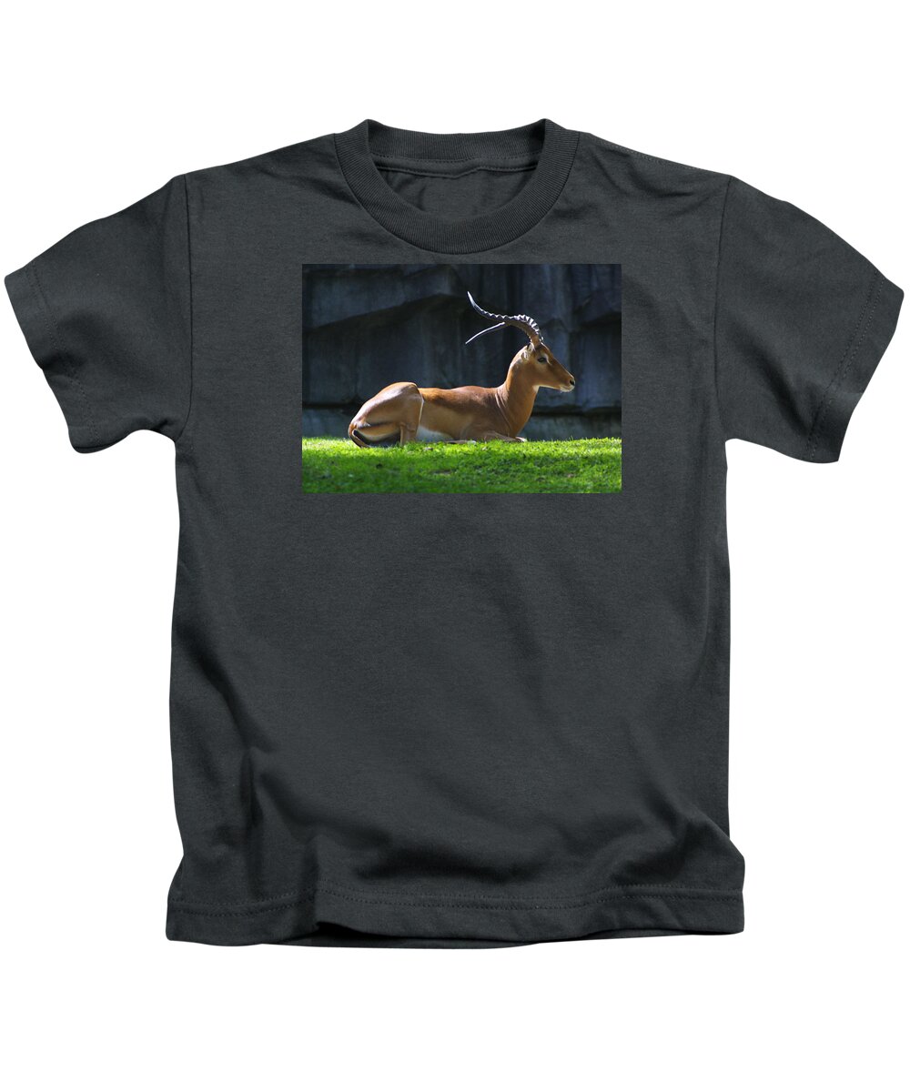 Zoo Kids T-Shirt featuring the photograph Zoo Scapes #20 by Jean Wolfrum