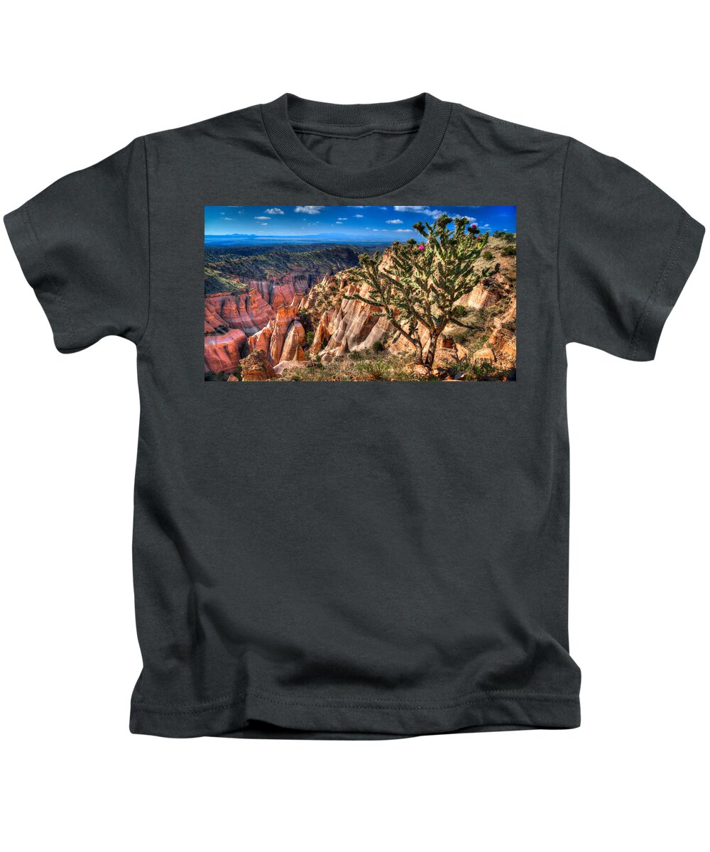 New Mexico Kids T-Shirt featuring the photograph New Mexico 28 by David Henningsen