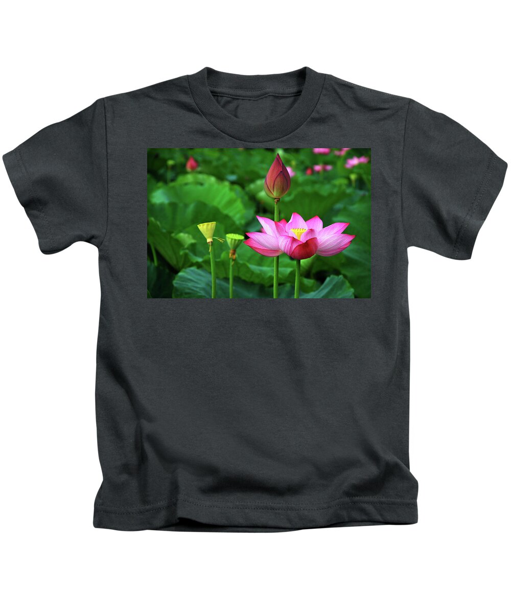 Lotus Kids T-Shirt featuring the photograph Blossoming lotus flower closeup #22 by Carl Ning