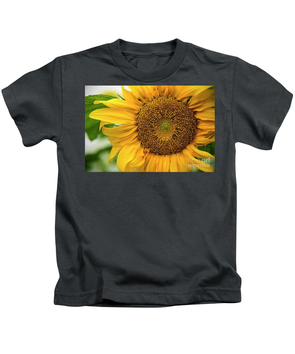 Sunflower Kids T-Shirt featuring the photograph Sunflower #3 by Debra Fedchin