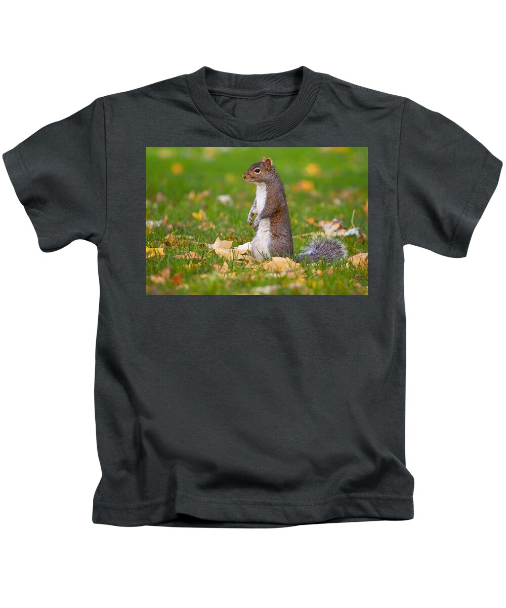 Squirrel Kids T-Shirt featuring the photograph Squirrel #4 by Mariel Mcmeeking