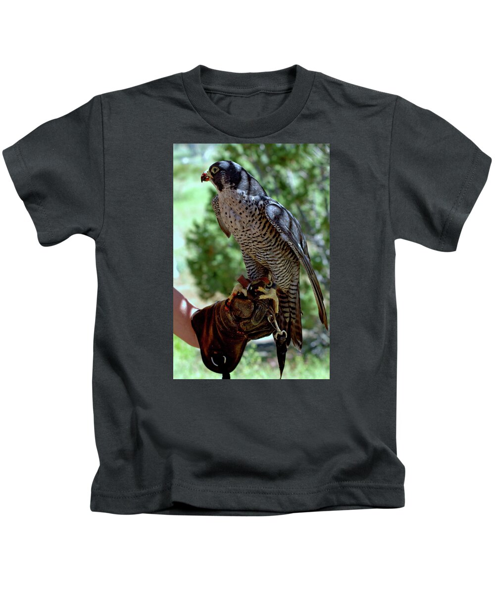 Usa Kids T-Shirt featuring the photograph Peregrine Falcon #5 by LeeAnn McLaneGoetz McLaneGoetzStudioLLCcom
