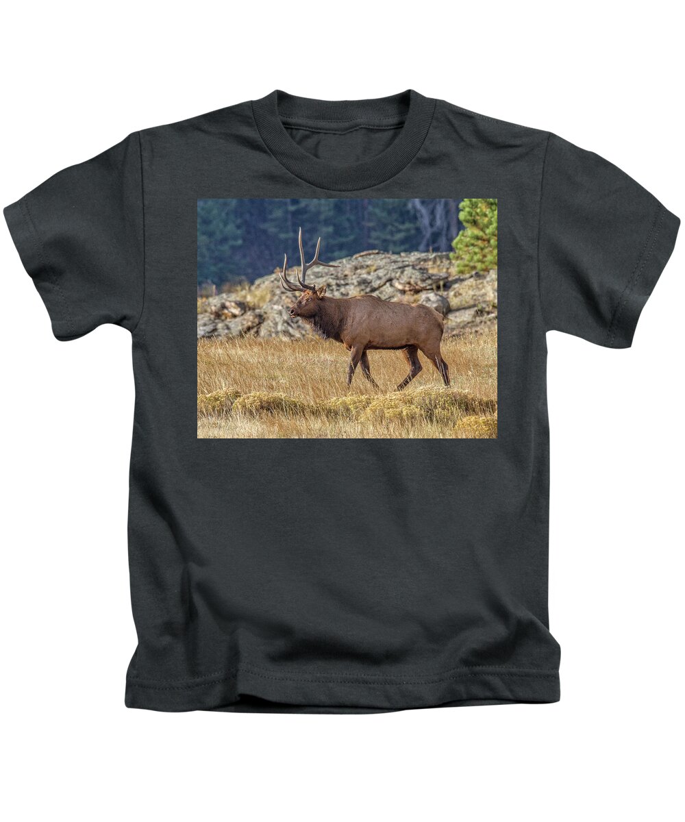 Bull Elk Kids T-Shirt featuring the photograph 6 X 1 Loser Bull Elk by Ronald Lutz