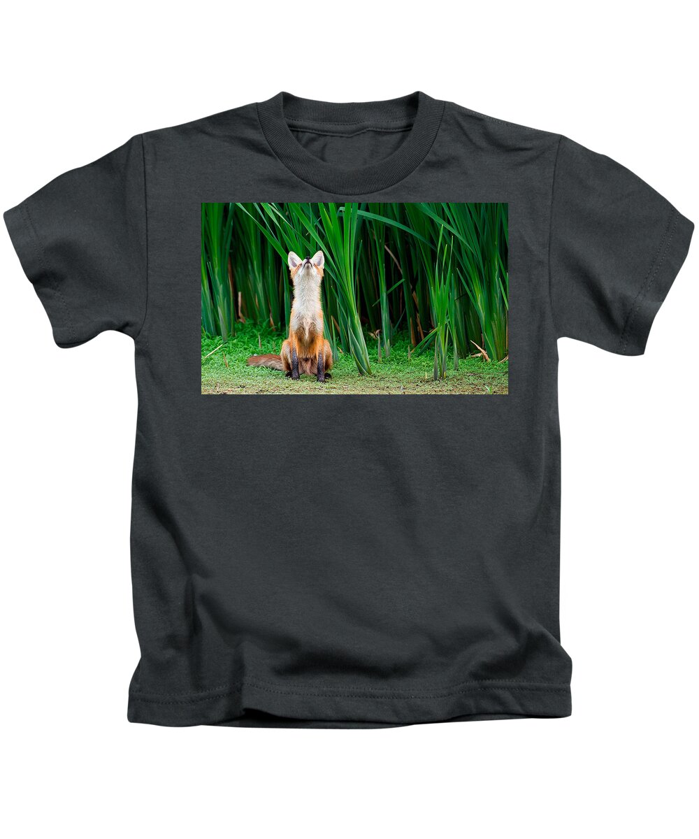 Fox Kids T-Shirt featuring the digital art Fox #8 by Super Lovely