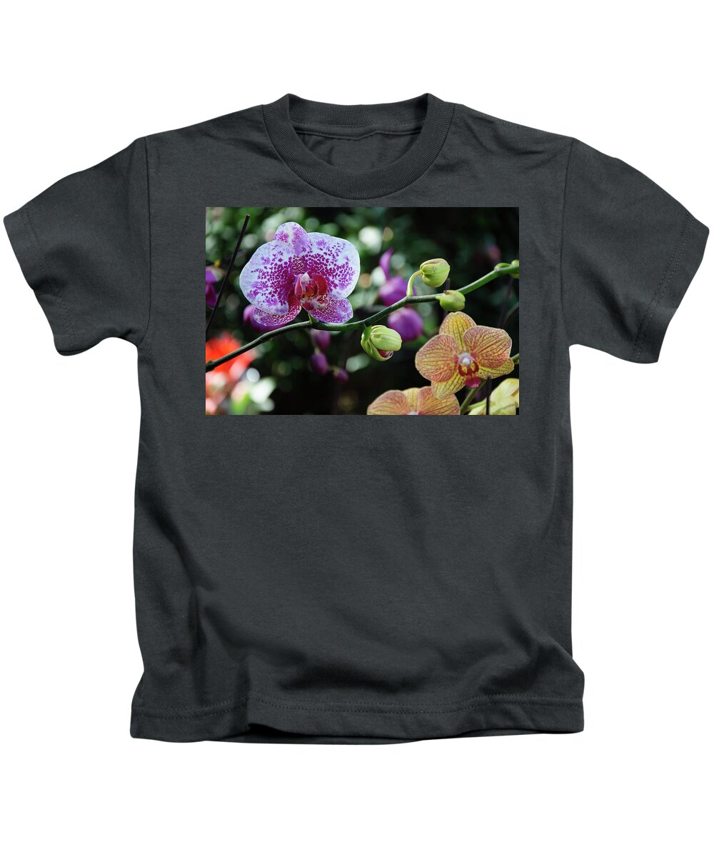 Flower Kids T-Shirt featuring the photograph Butterfly orchid flowers #9 by Carl Ning