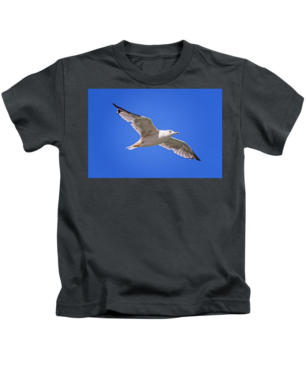 Animal Kids T-Shirt featuring the photograph Gull in flight #9 by Peter Lakomy
