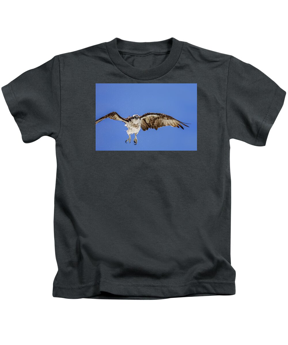 Naples Kids T-Shirt featuring the photograph Osprey #9 by Peter Lakomy
