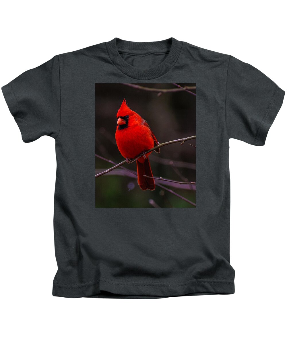 A Cardinal In January Framed Prints Kids T-Shirt featuring the photograph A Cardinal In January by John Harding
