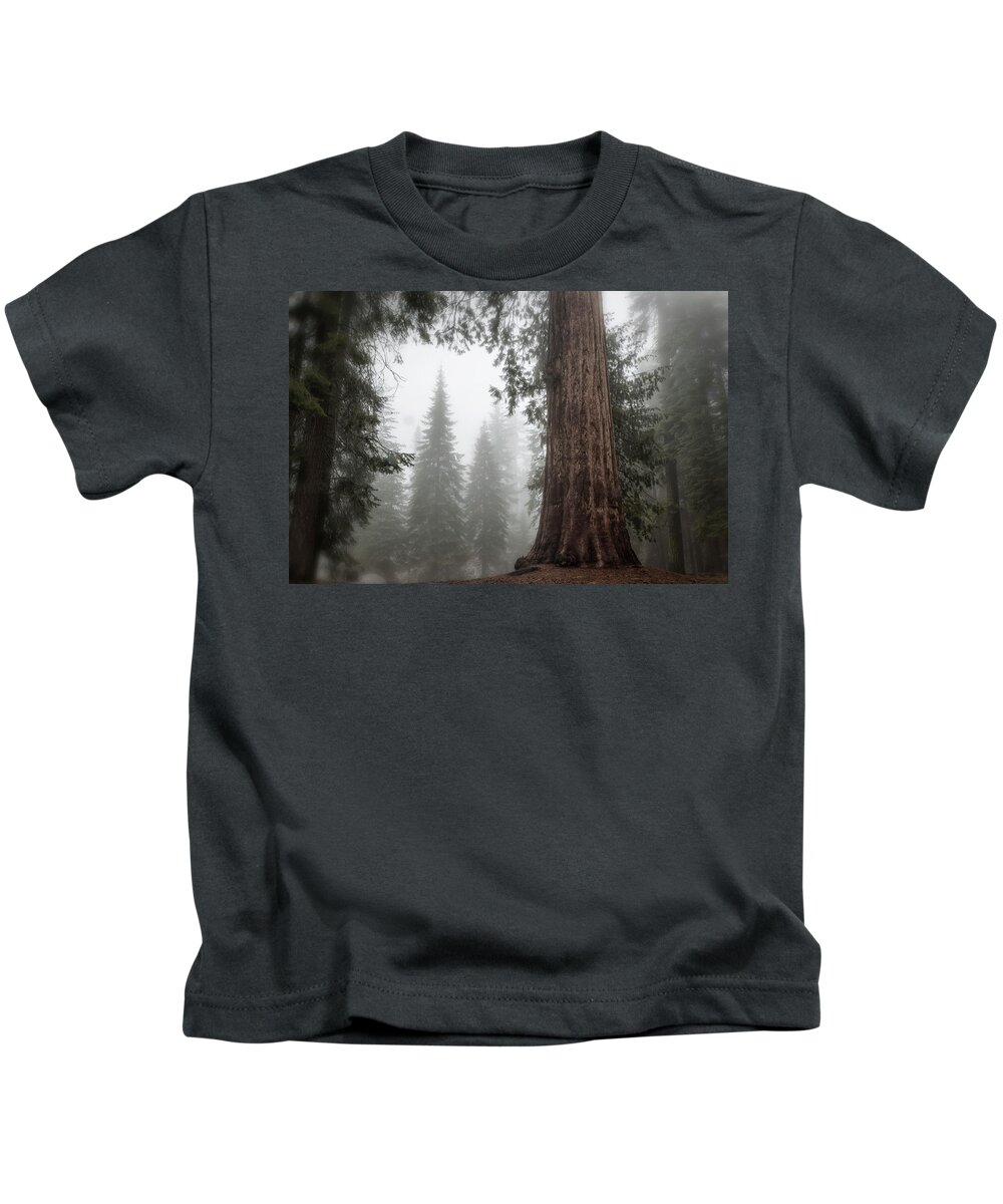Sequoias Kids T-Shirt featuring the photograph A Giant in the Fog by Belinda Greb