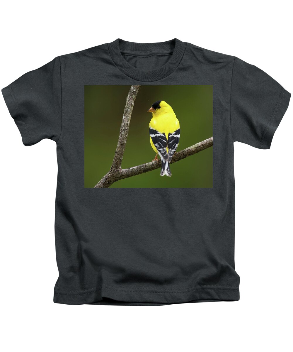Bird Kids T-Shirt featuring the photograph A Little Bit of Sunshine by Jody Partin