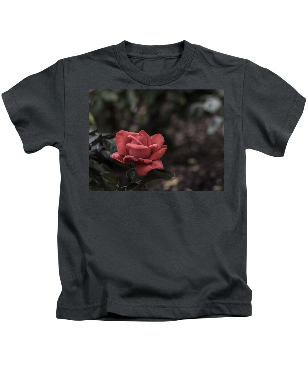 Rose Kids T-Shirt featuring the photograph A Red Beauty by Ed Clark