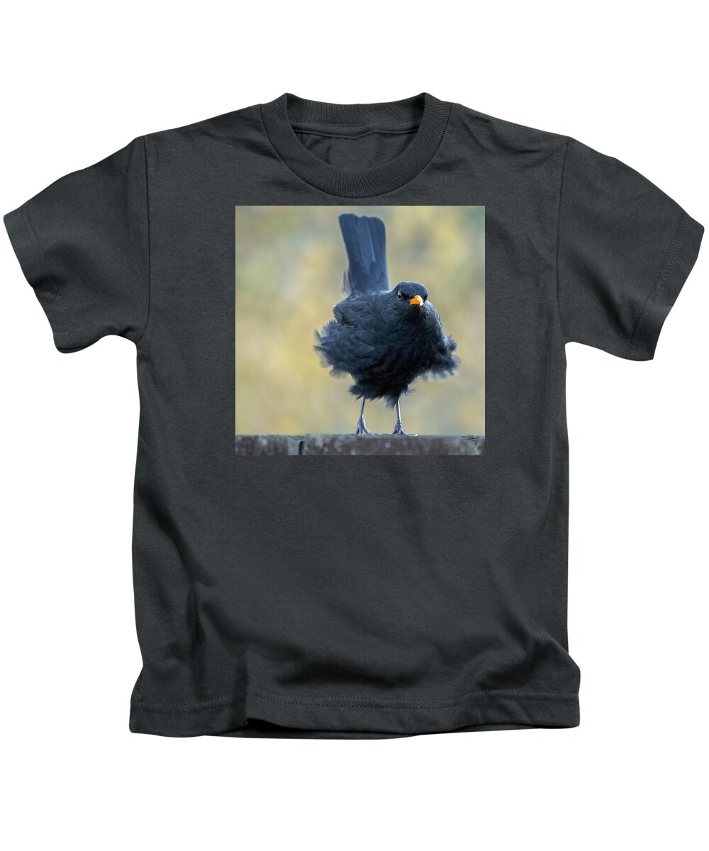 Blackbird Kids T-Shirt featuring the photograph A Stiff Breeze by Nigel R Bell