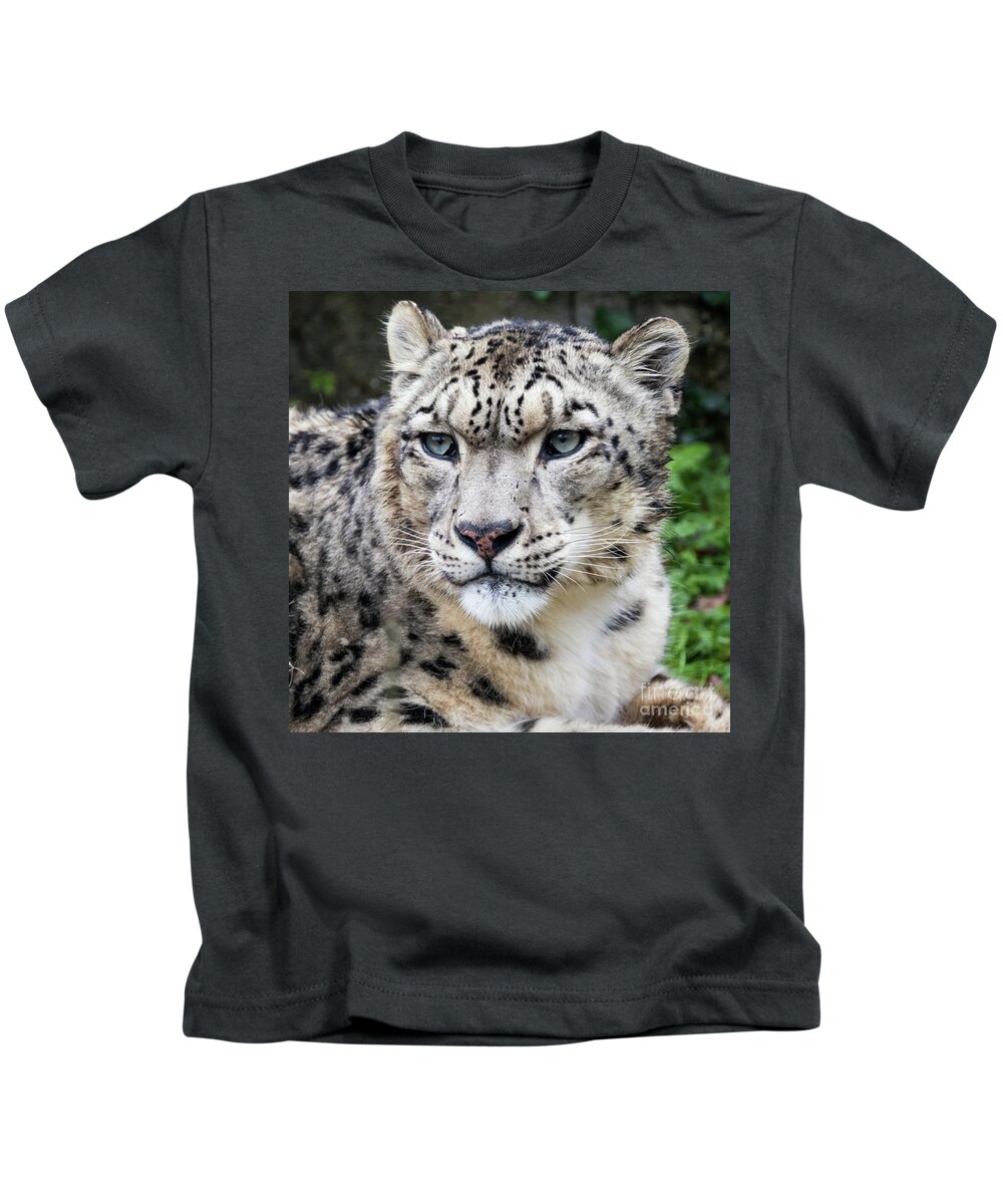 Leopard Kids T-Shirt featuring the photograph Adult snow leopard portrait by Jane Rix
