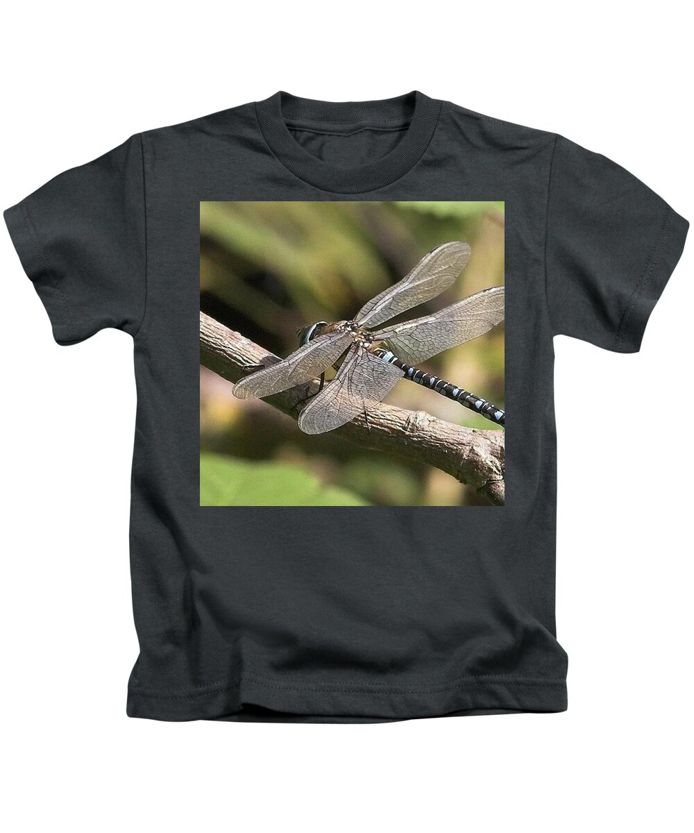 Dragonfly Kids T-Shirt featuring the photograph Aeshna Juncea - Common Hawker
taken At by John Edwards