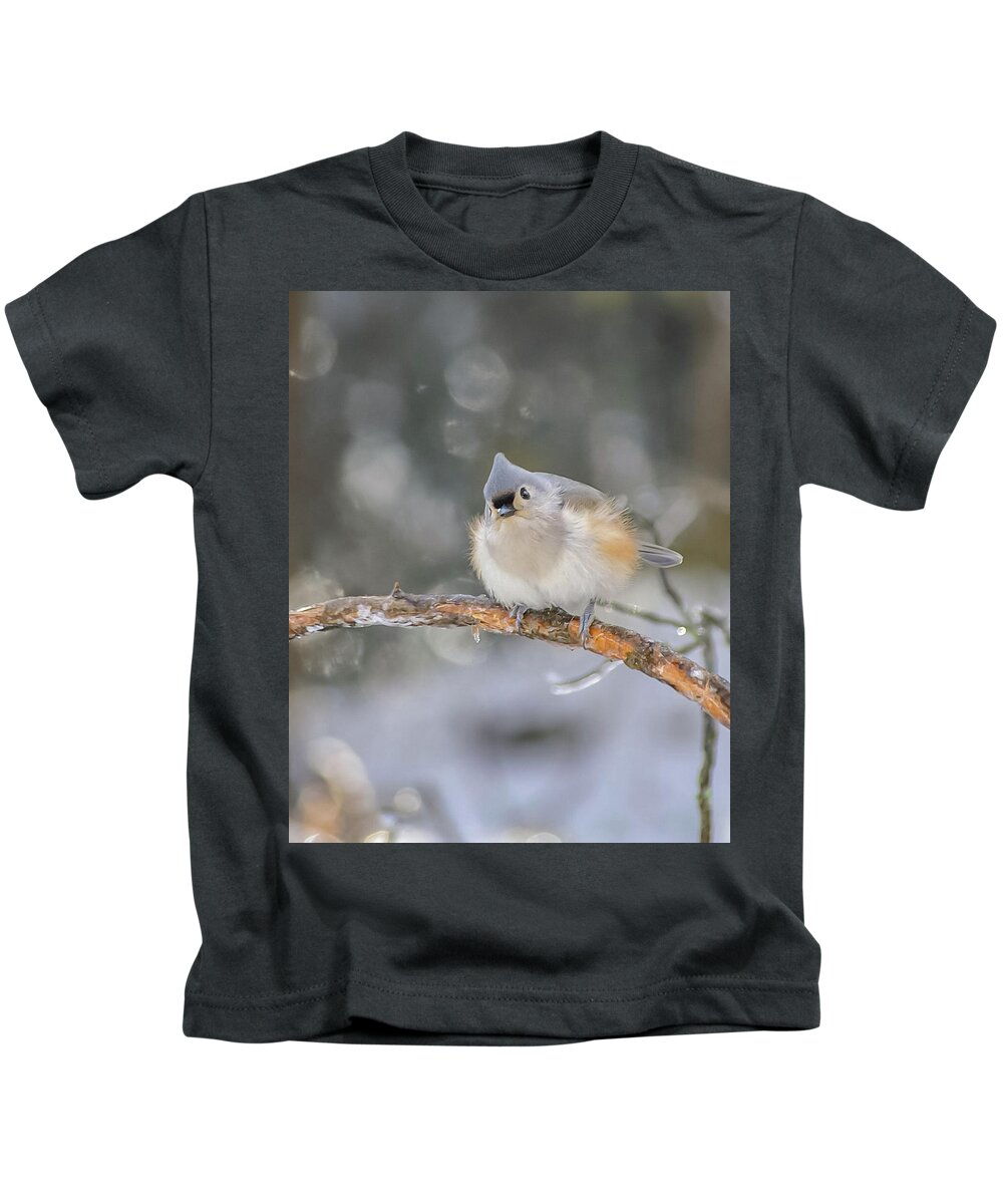 Ice Kids T-Shirt featuring the photograph After the Ice Storm by Holly Ross