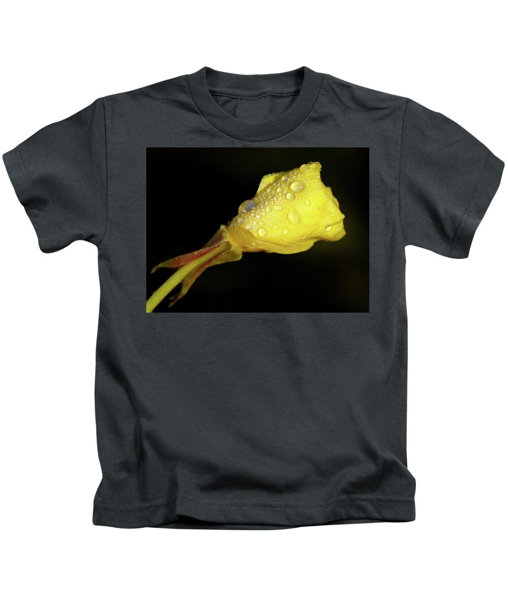 Wildflower Kids T-Shirt featuring the photograph After The Rain by Linda Shafer