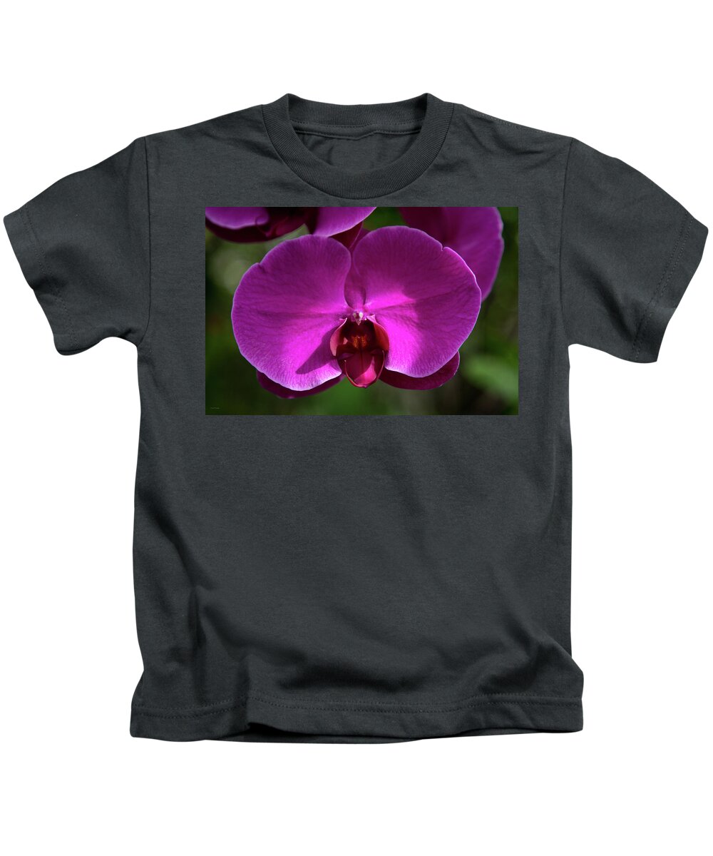 Allan Kids T-Shirt featuring the photograph Allan Gardens Orchid by Ross Henton