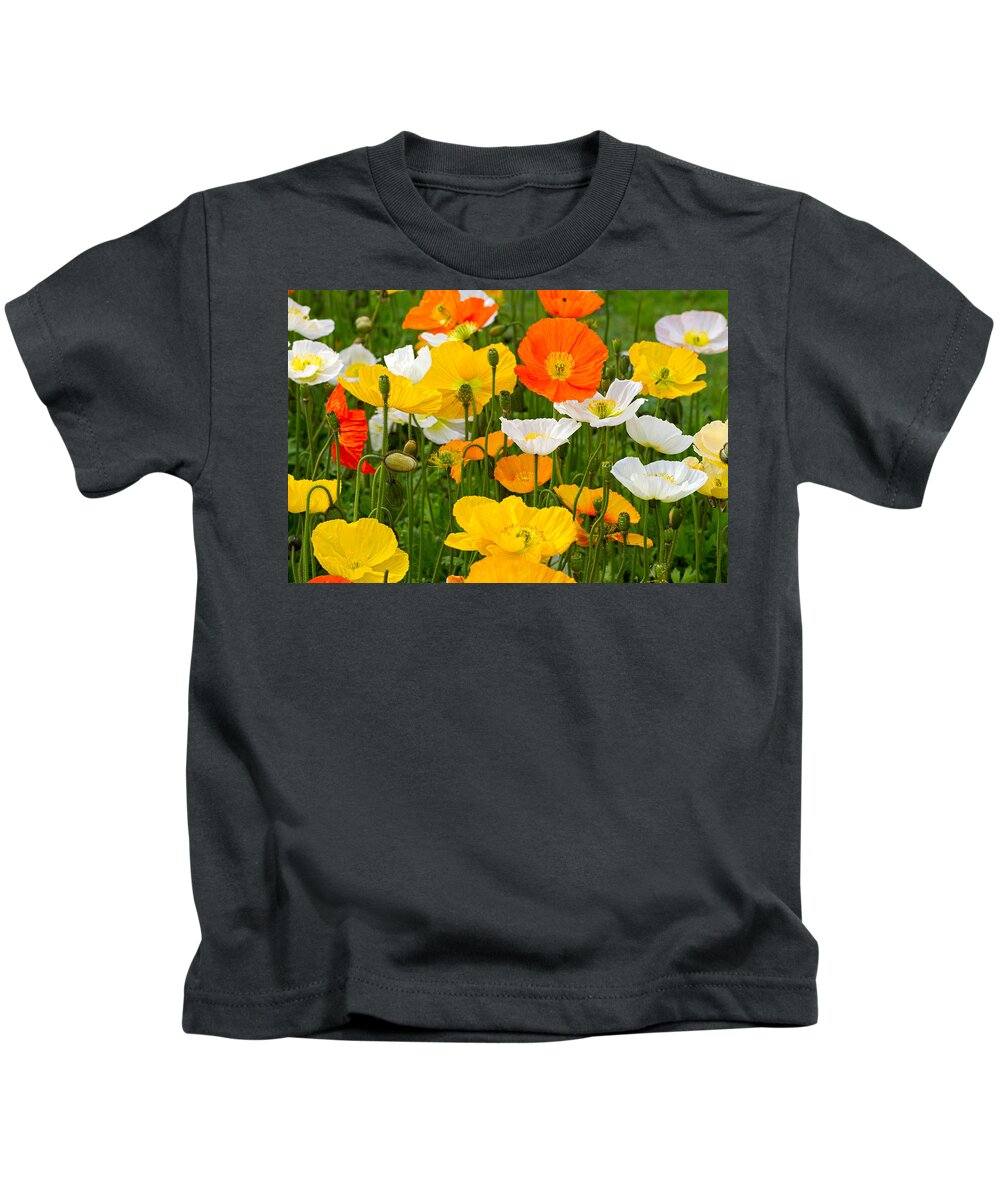 Poppies Kids T-Shirt featuring the photograph Alpine poppies by Louise Heusinkveld