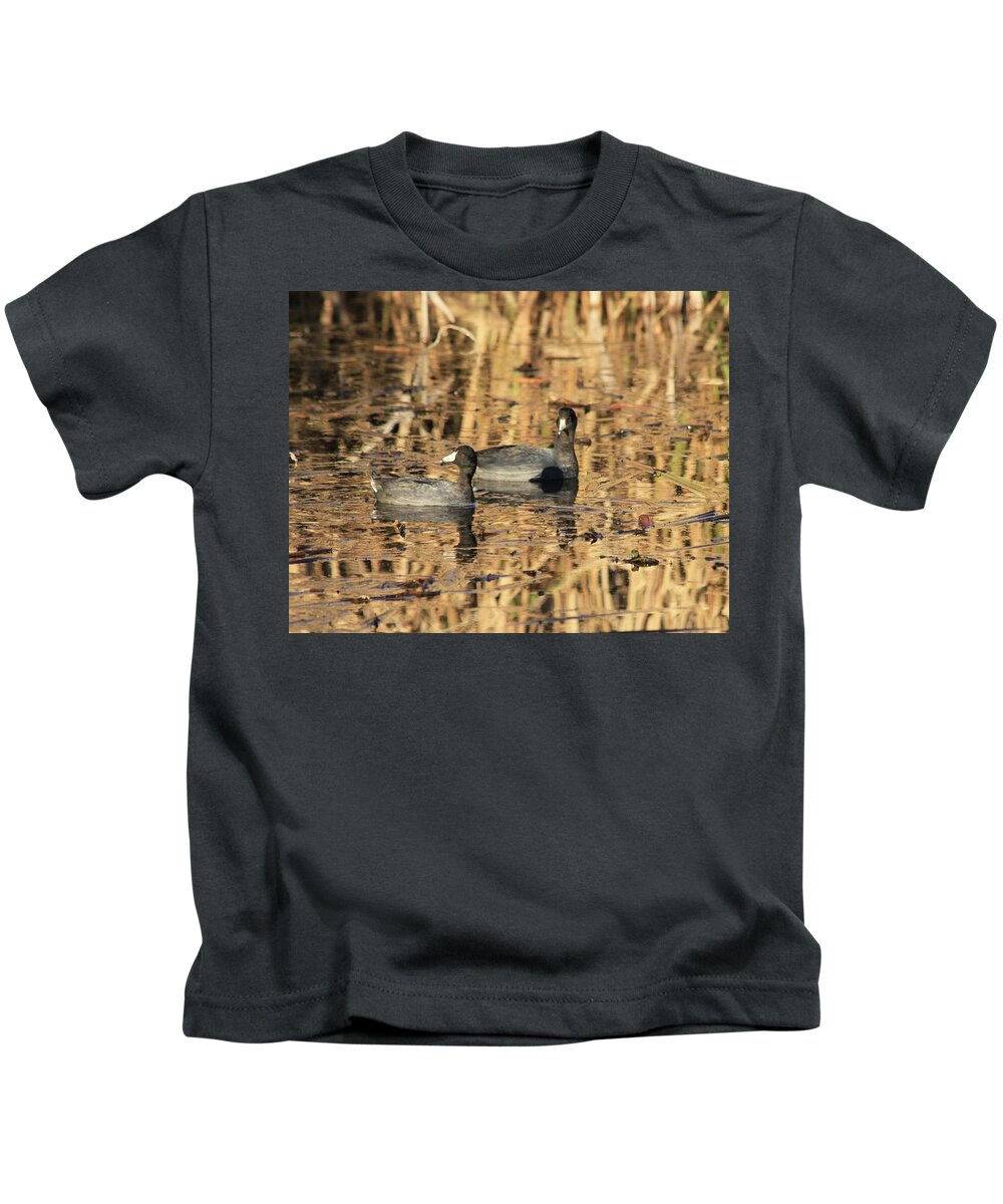 American Coot Kids T-Shirt featuring the photograph American Coots by Jerry Battle