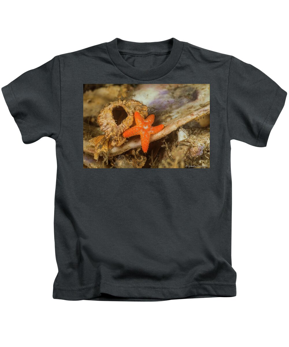 Star Kids T-Shirt featuring the photograph Among The Rubble by Sandra Edwards