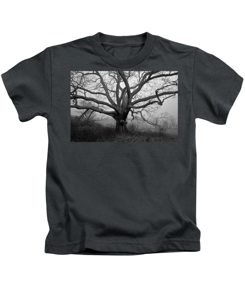 Easton Kids T-Shirt featuring the photograph Ancient Oak Tree V - Sheep Pasture by David Gordon