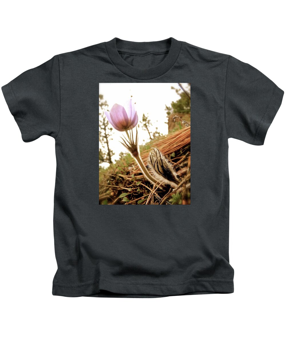  Kids T-Shirt featuring the photograph Anemone Trail Boulder Colorado 2014 by Leizel Grant