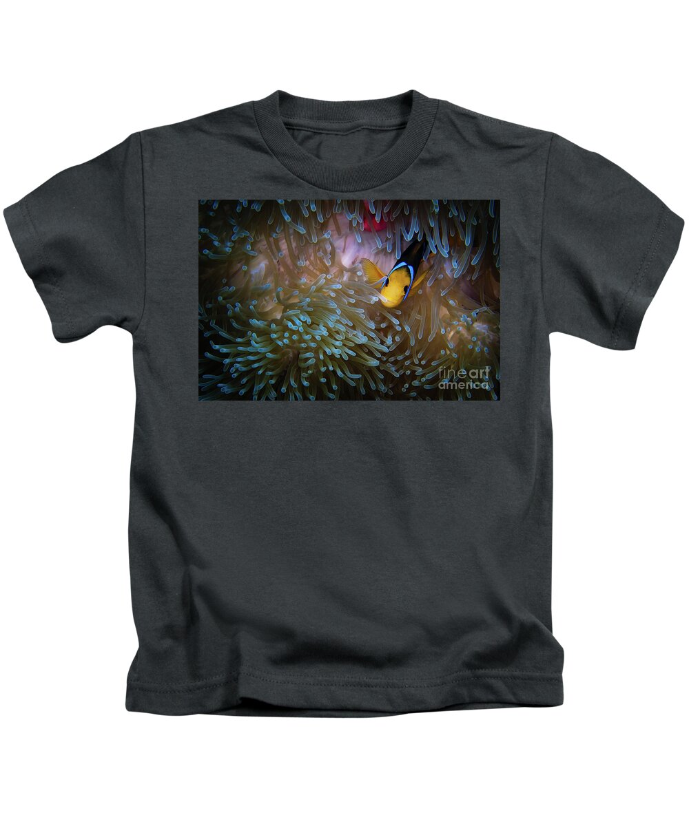 Bora Bora Kids T-Shirt featuring the photograph Anemonefish by Doug Sturgess