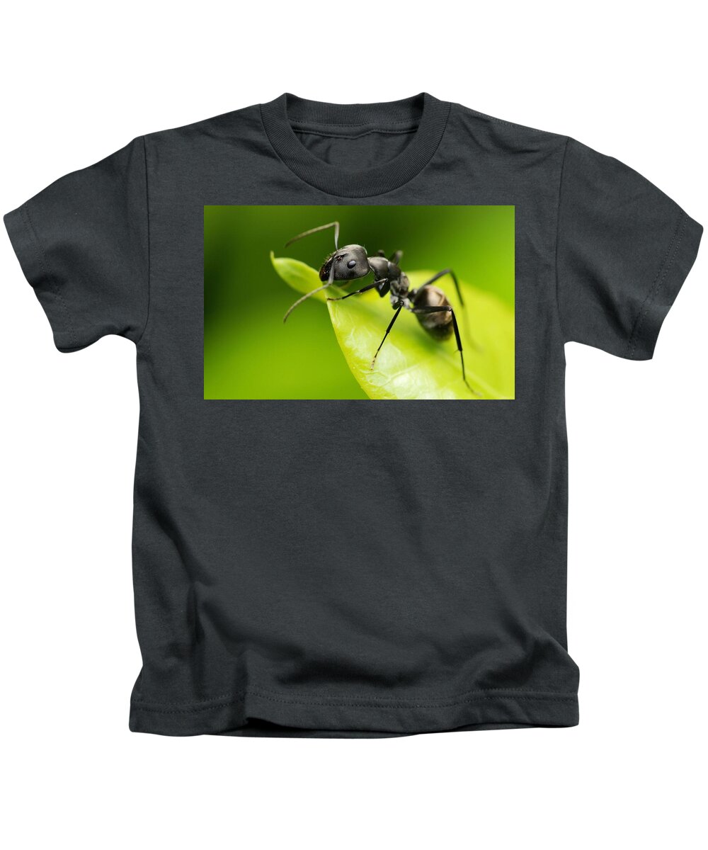 Ant Kids T-Shirt featuring the photograph Ant by Jackie Russo