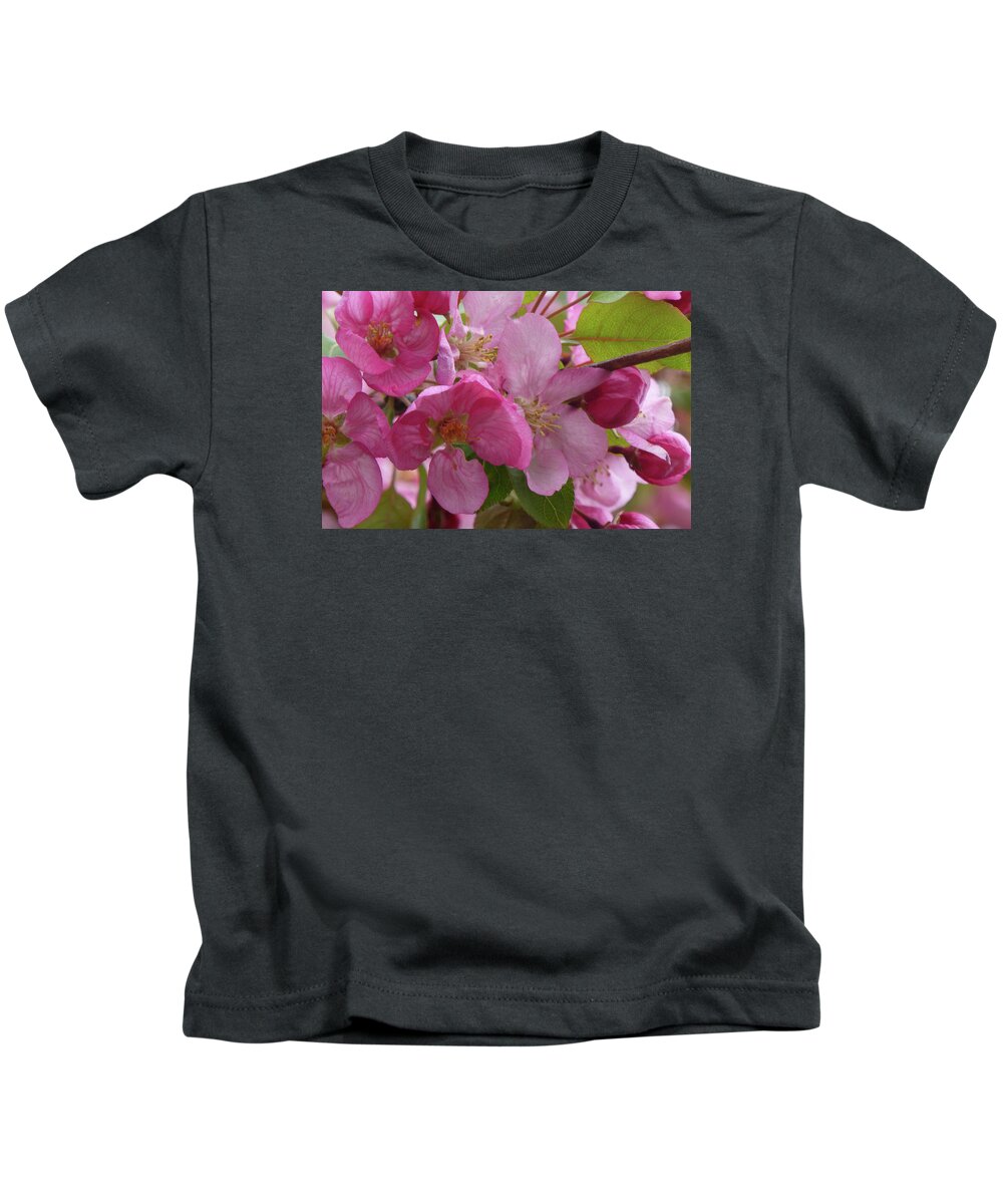 Flowers Kids T-Shirt featuring the photograph Apple Blossoms by Cris Fulton