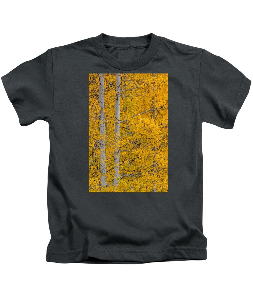 Peaceful Kids T-Shirt featuring the photograph Aspen Autumn by Gary Migues