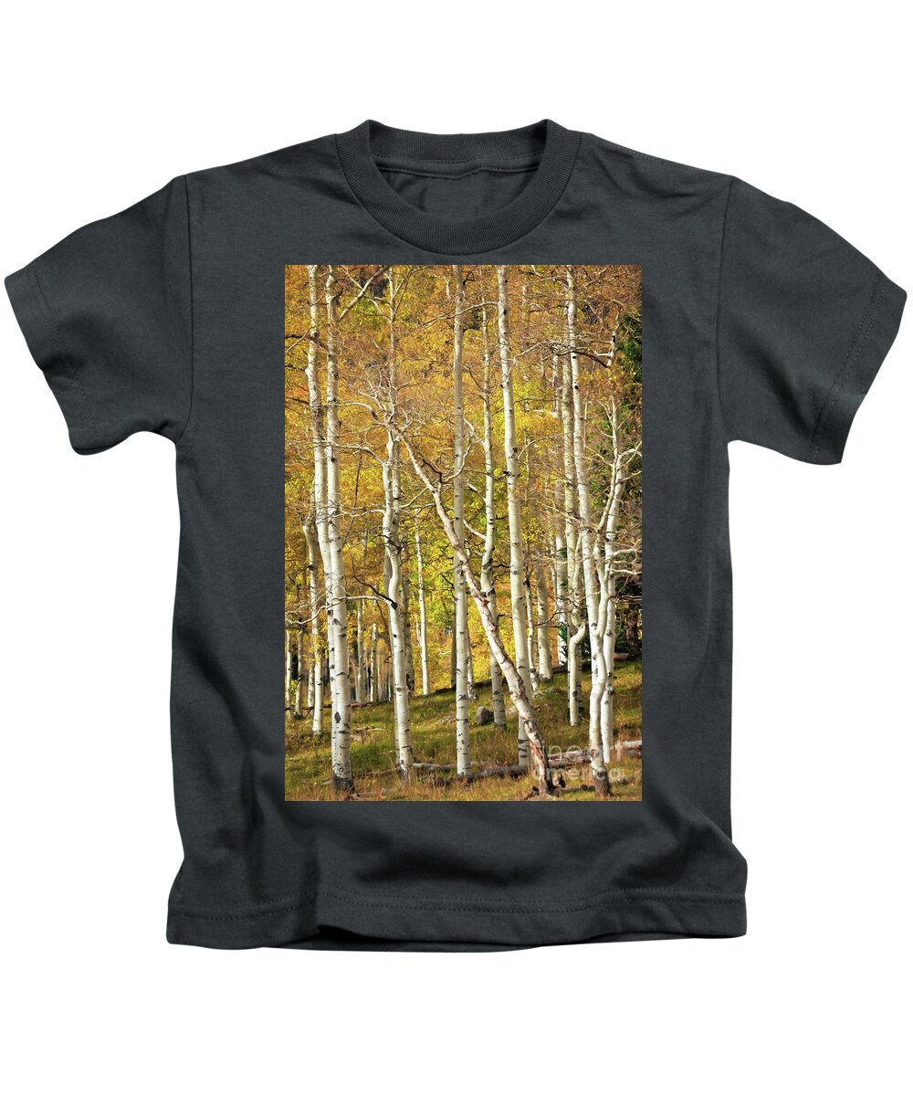 Aspen Kids T-Shirt featuring the photograph Aspen Forest by Doug Sturgess