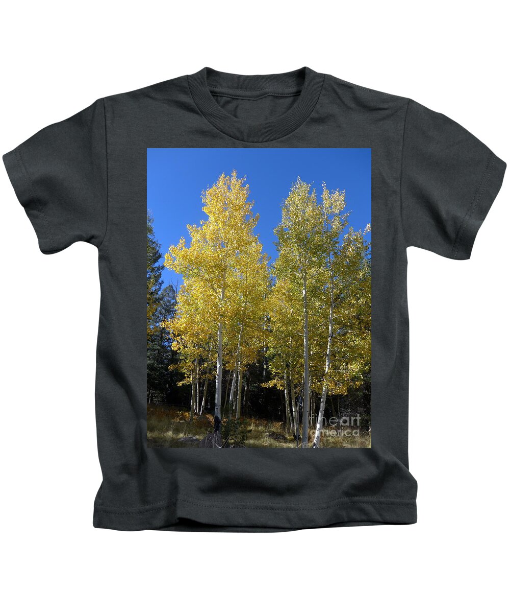 Flagstaff Kids T-Shirt featuring the photograph Aspen Tree Twins by Mars Besso