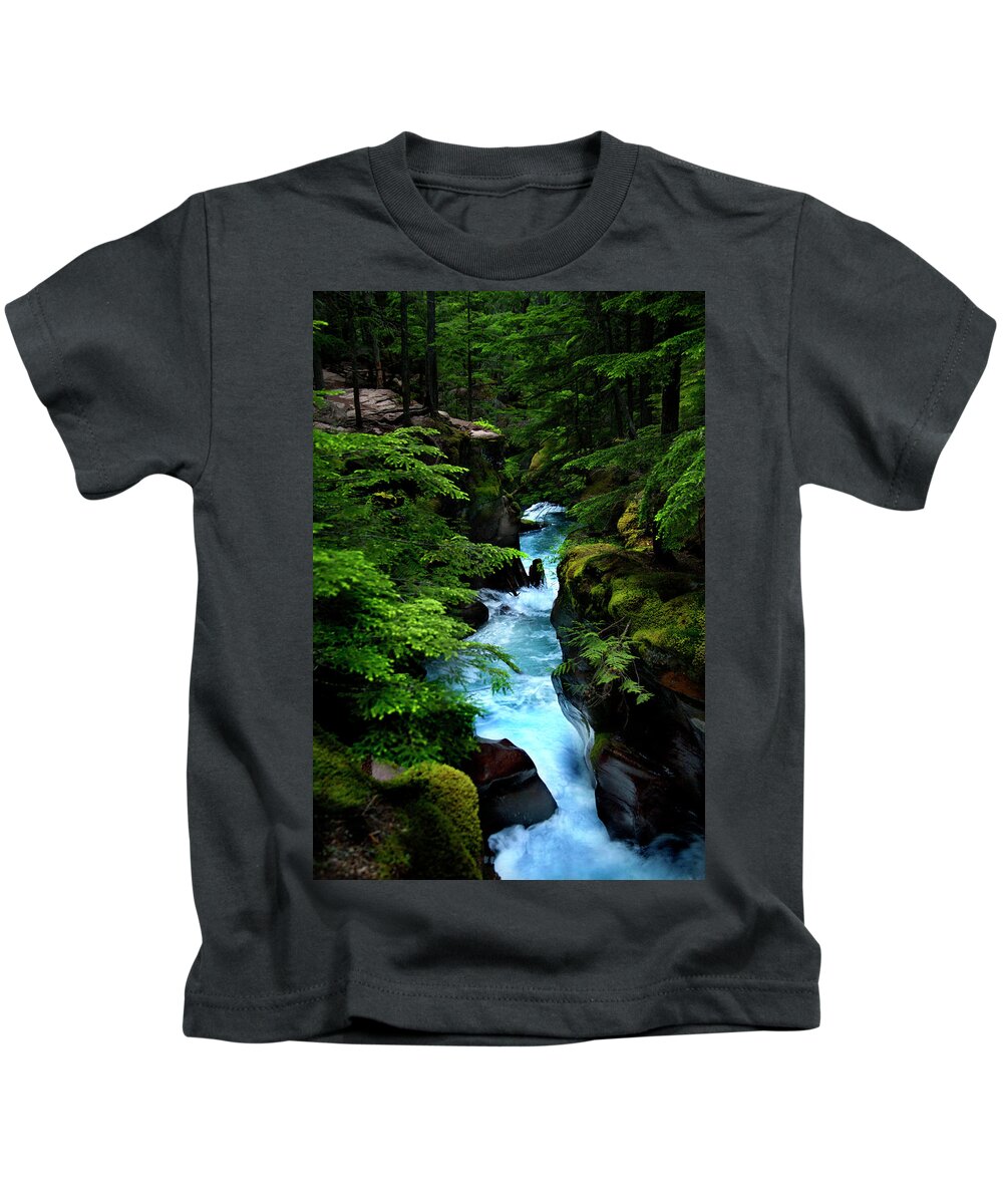 Waterfalls Kids T-Shirt featuring the photograph Avalanche Creek Waterfalls by David Chasey