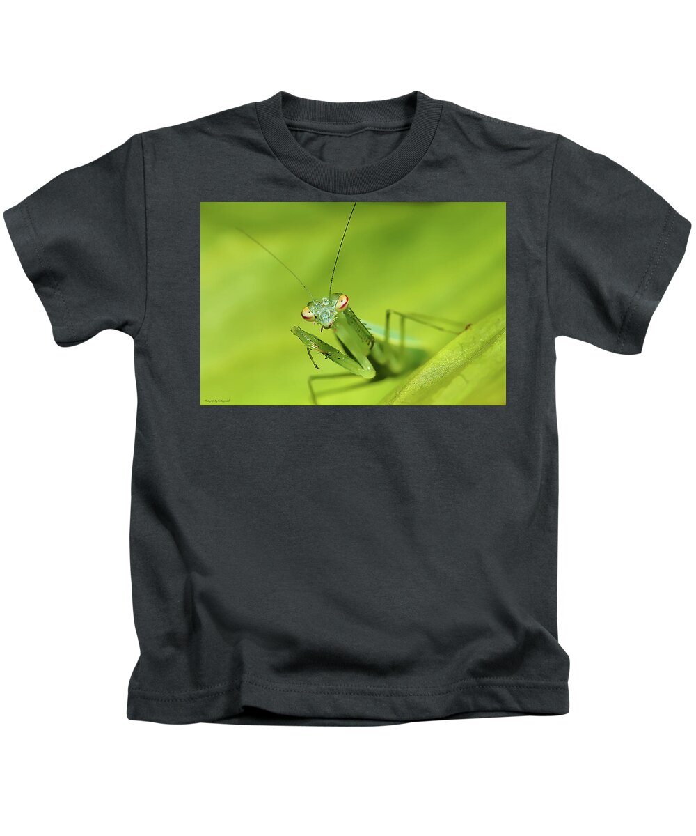 Pray Mantes Kids T-Shirt featuring the photograph Baby Praymantes 6661 by Kevin Chippindall