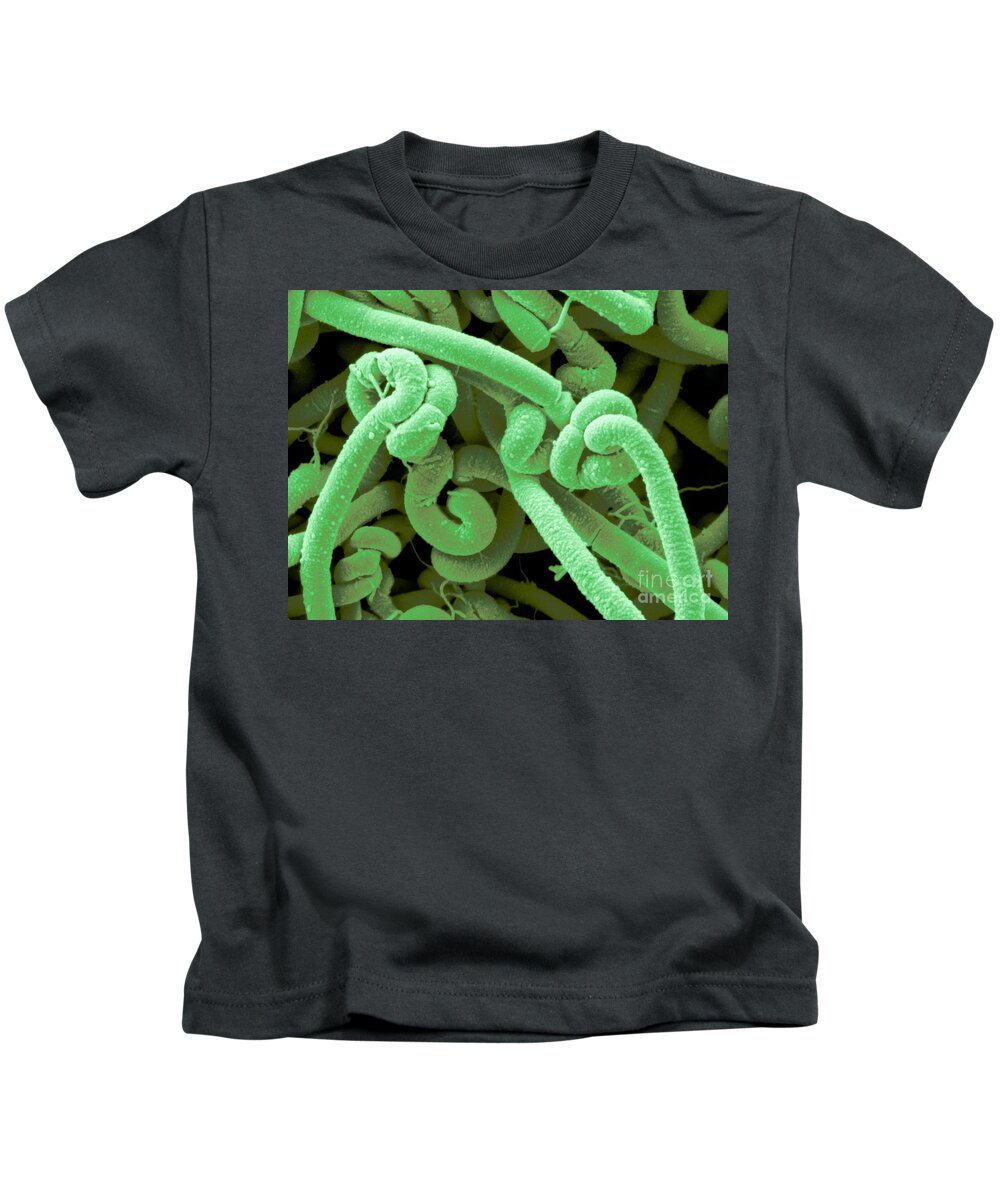 Sem Kids T-Shirt featuring the photograph Bacillus Cereus by Scimat