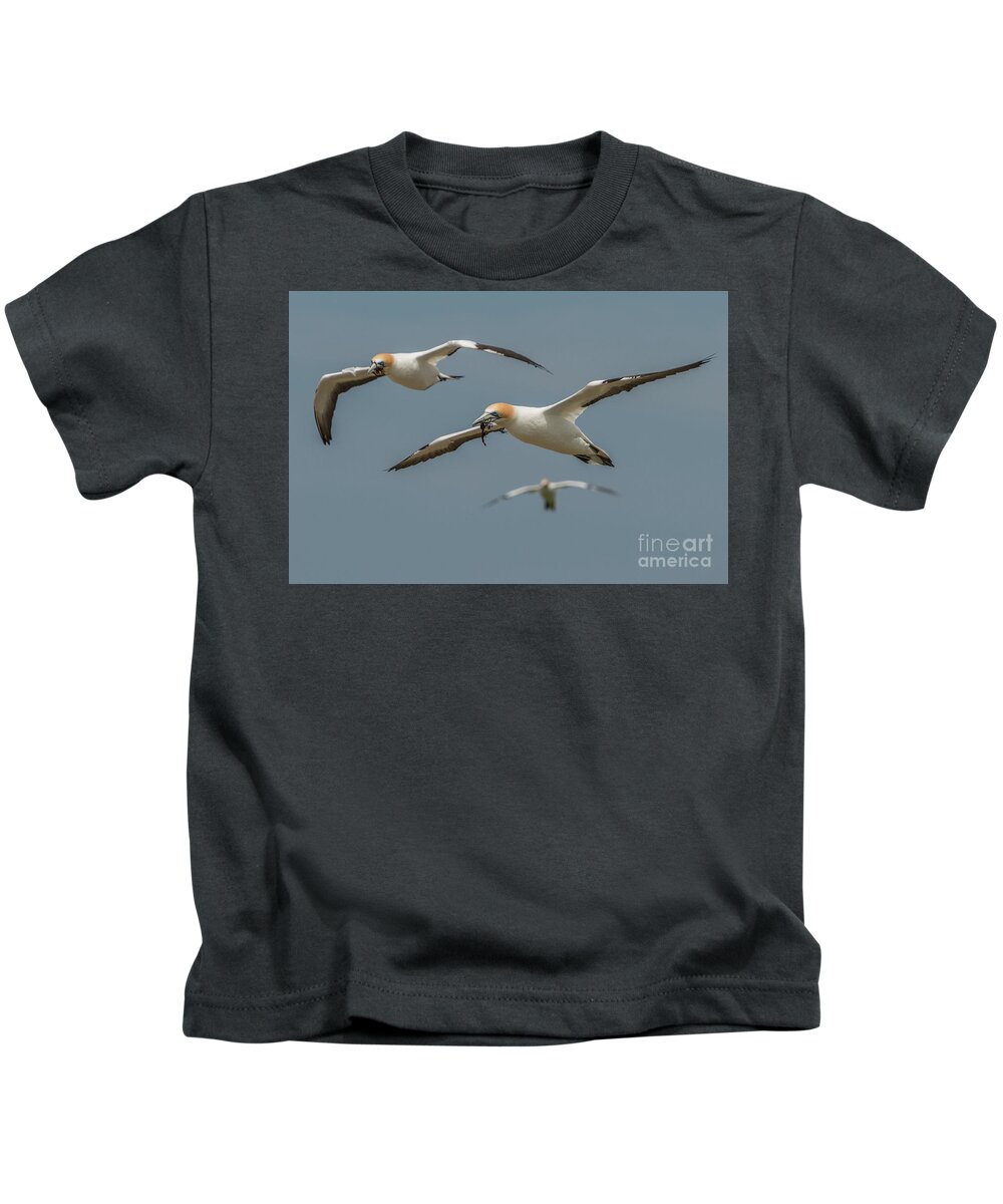Bird Kids T-Shirt featuring the photograph Back to the Colony by Werner Padarin