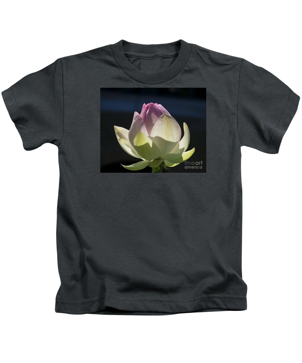 Flowers Kids T-Shirt featuring the photograph Backlit Lotus Bud 2015 by Lili Feinstein
