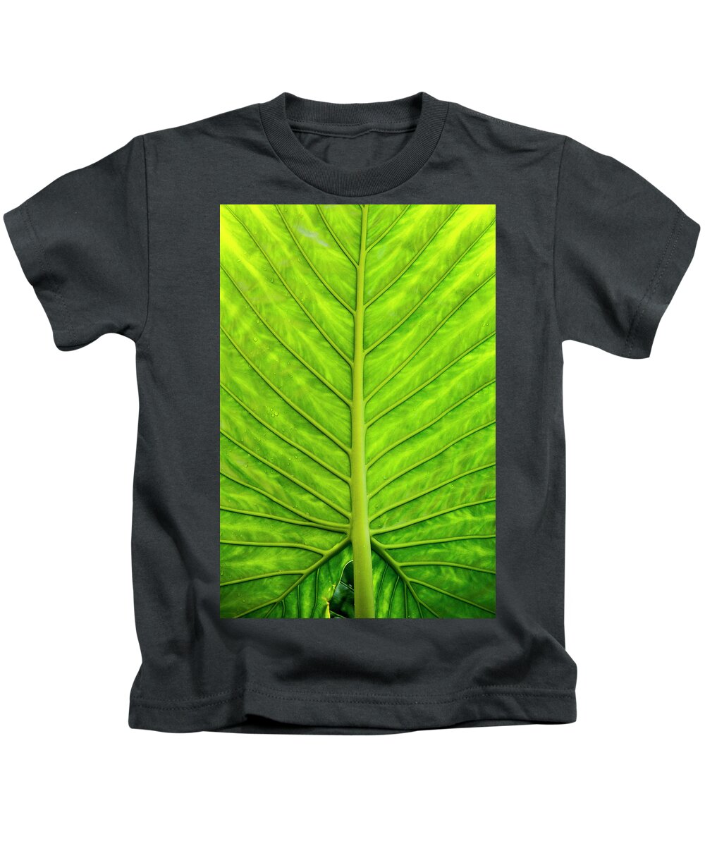 Colocasia Esculenta Kids T-Shirt featuring the photograph Backlit Taro Leaf by Todd Bannor