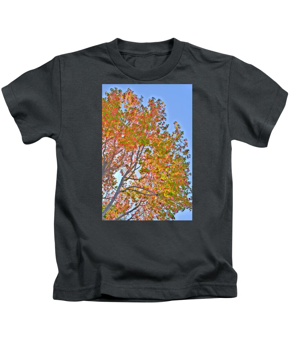 Fall Kids T-Shirt featuring the photograph Ball to the Wall Fall by Derek Dean