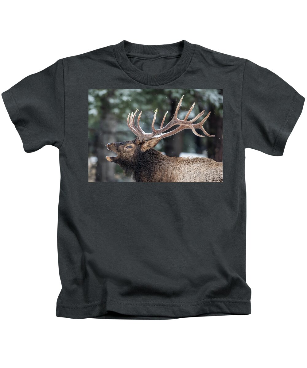 Elk Kids T-Shirt featuring the photograph Banff Elk Bugle by Sam Amato