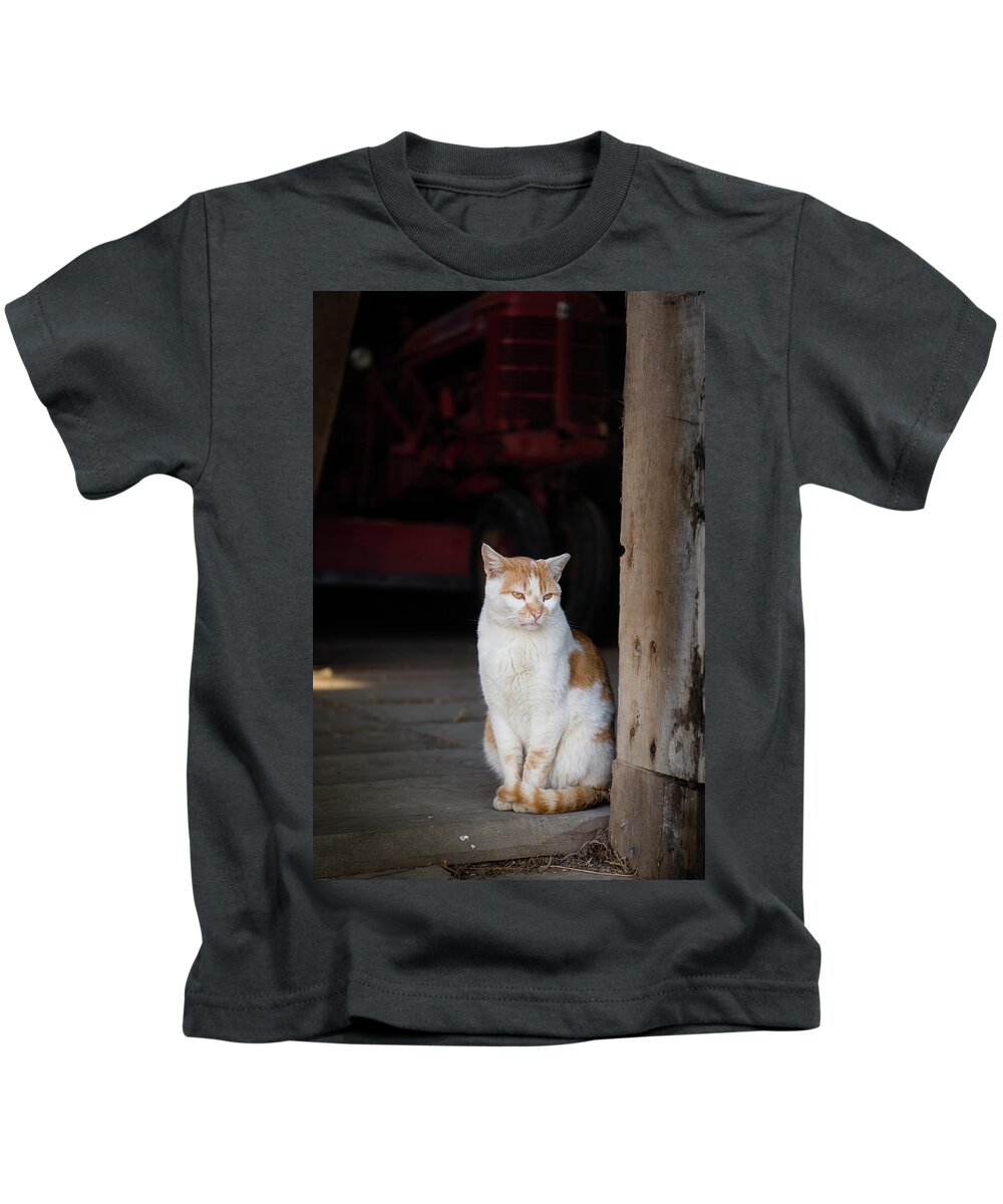 Animals Kids T-Shirt featuring the photograph Barn Cat and Tractor by Dennis Dame